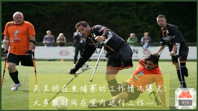 吴某桢在柬埔寨的工作情况曝光：大多数时间在室内进行工作…