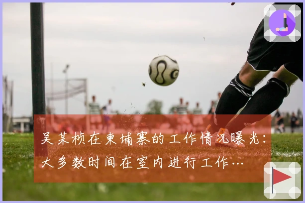 吴某桢在柬埔寨的工作情况曝光：大多数时间在室内进行工作…